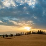 cretesenesi10