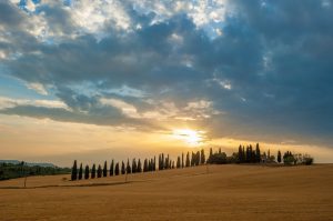 cretesenesi10