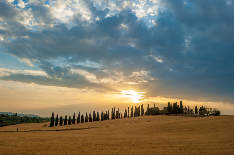 cretesenesi10