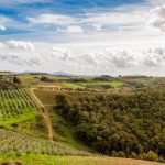 cretesenesi