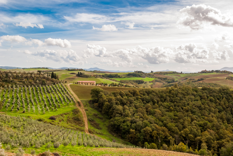 cretesenesi