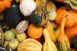 pumpkins at the market - Thanksgiving in Italy