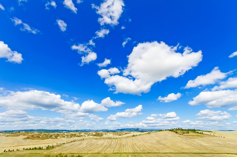 cretesenesi6