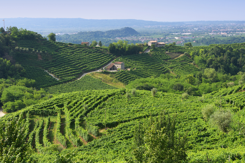 Prosecco Tour