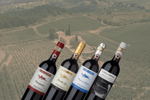 casa-emma-wines