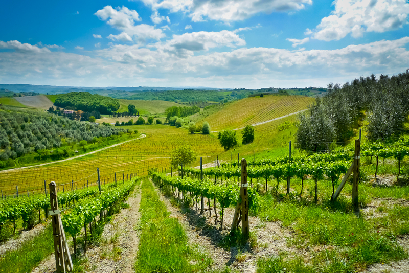 Chianti landscape