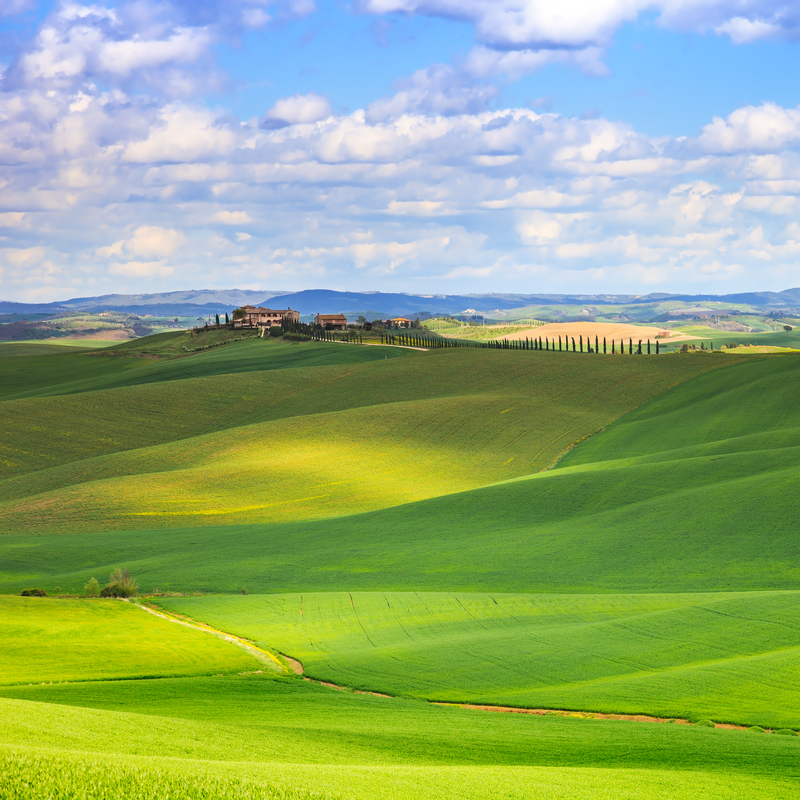Southern Tuscany LandscapeSouthern Tuscany